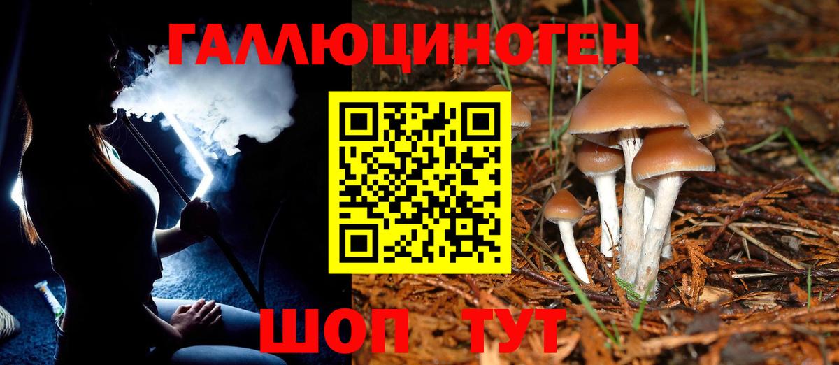 Галлюциногенные грибы Cubensis Новосибирск